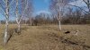 Перспективная зелёная зона в г.Приморско-Ахтарске (15)