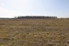Перспективная зелёная зона в г.Приморско-Ахтарске (17)