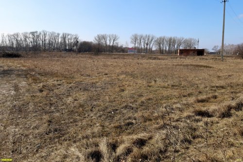 Перспективная зелёная зона в хуторе Челюскинец (4)
