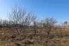 Перспективная зелёная зона в хуторе Челюскинец (4)