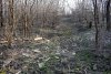 Перспективная ООПТ Южно-Уташский лес