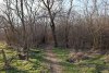 Перспективная ООПТ Западно-Уташский лес
