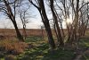 Закат в перспективной ООПТ Западно-Уташский лес