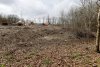 Расчистка части территории ООПТ Лес на улице Королёва (г.Апшеронск)