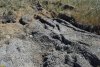Выходы грязи в перспективной ООПТ Гора Цымбалы