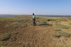 Растительность подушковидной формы в перспективной ООПТ Степи и солончаки горы Шапурской