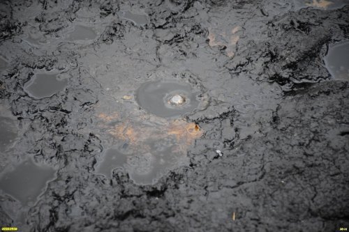 Грязе-газовый сифон в перспективной ООПТ Гора Северо-Нефтяная