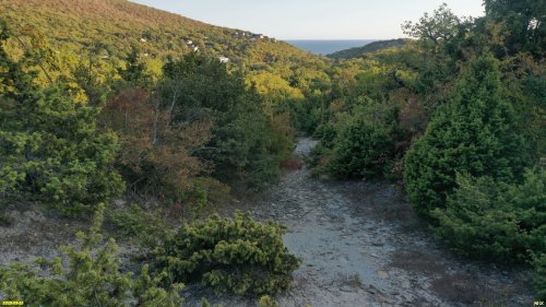 Перспективная ООПТ Широкобалкинский лес