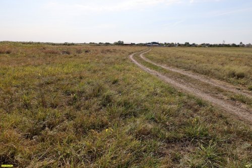 Перспективная зелёная зона в ст.Брюховецкая (13)