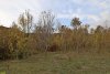 Перспективная зелёная зона в селе Лермонтово (3)