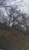 Перспективная ООПТ Урочище Плиты в северо-восточной и восточной частях граничит с жилой зоной посёлка Заречный