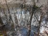 Заполненное водой понижение рельефа в перспективной ООПТ Дальний лес 