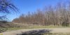 Гледичия трёхколючковая в перспективной ООПТ Первомайский лесопарк
