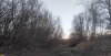 Перспективная ООПТ Краснополянский лес