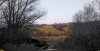 Коренной пойменный лес реки Кубань в перспективной ООПТ Краснополянский лес