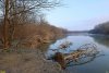 Река Кубань на границе перспективной ООПТ Красносельская дубрава