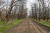 Рукотворная  перспективная ООПТ Новоивановский лес