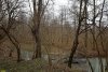 Река Солёная - приток реки Андрюк; Солёновский лес