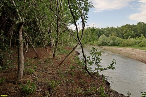 Перспективная ООПТ Заветный лес примыкает с запада к реке Уруп