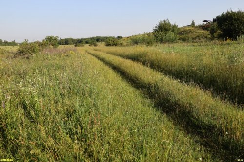 Перспективная ООПТ Урмийская степь (Курганинский район)