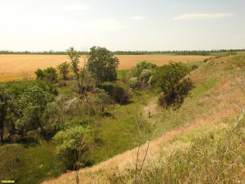 Перспективная ООПТ Глебо-Борисовский старый карьер (Новокубанский район)