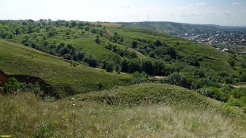 Перспективная ООПТ Стрижибкина нагорная степь