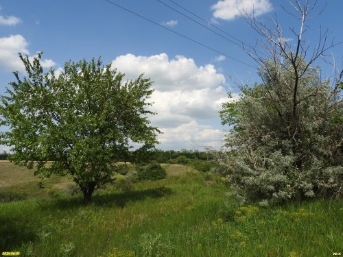 Перспективная ООПТ Прочноокопский берег Кубани