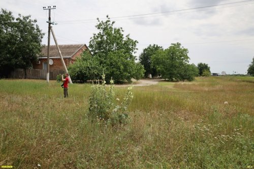 Обследование перспективной зелёной зоны в селе Вольное (1)