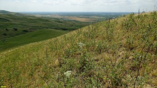 Перспективная ООПТ Гора Тупоносая