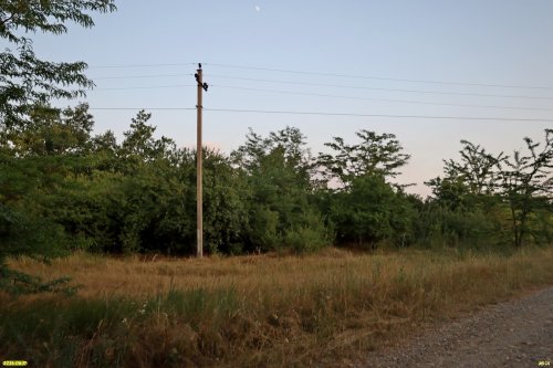 Перспективная зелёная зона в хуторе Западный (3)