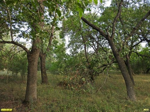 Перспективная зелёная зона в хуторе Серединский (2)