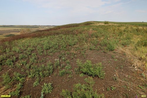 Перспективная ООПТ Миндальная гора