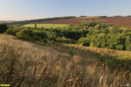 Перспективная ООПТ Привольненская нагорная степь