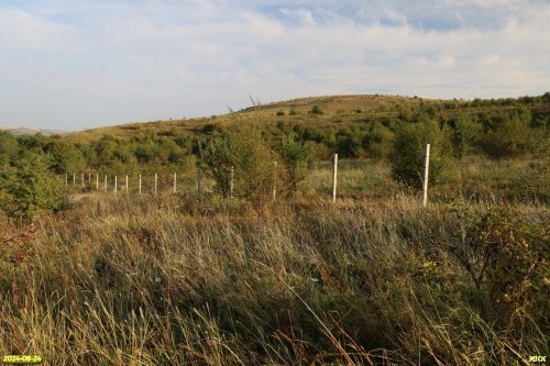 Перспективная ООПТ Привольненская нагорная степь