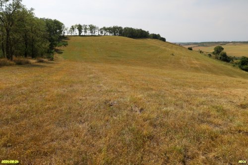 Перспективная ООПТ Степь в балке Зуева