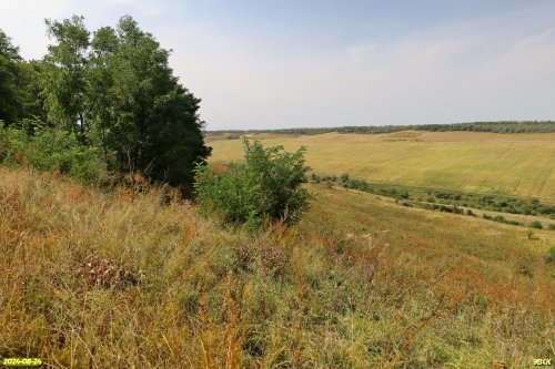 Перспективная ООПТ Степь в балке Зуева