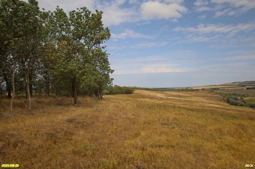 Перспективная ООПТ Балка Свиная