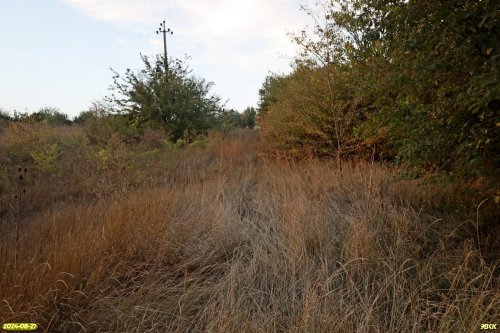 Перспективная ООПТ Ереминский лес