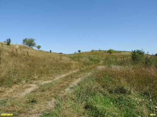 Перспективная ООПТ Участок степи возле старого карьера