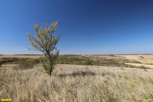 Перспективная ООПТ Лесостепь в верховьях Садовой балки