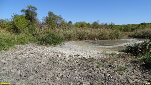 Пересохший водоток в перспективной ООПТ Урочище Кучагор