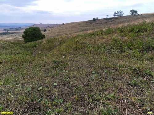 Перспективная ООПТ Степи балки Джуркало