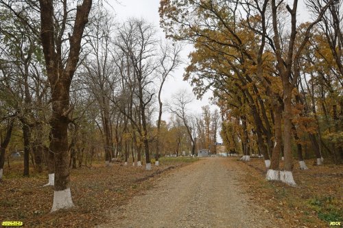 Перспективная ООПТ Войсковой сад