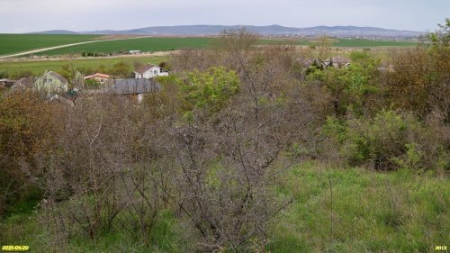 Перспективная ООПТ Курбацкий бугор