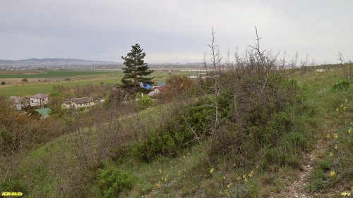 Перспективная ООПТ Курбацкий бугор