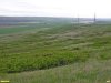 Перспективная ООПТ Высокий берег Гостагая