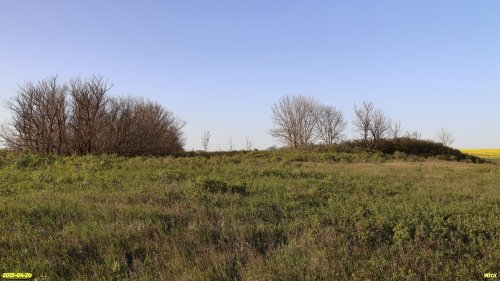 Перспективная ООПТ Шкуратская степь