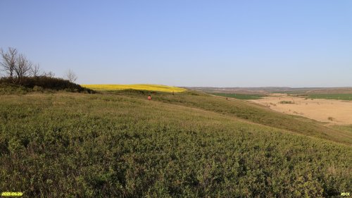 Перспективная ООПТ Шкуратская степь