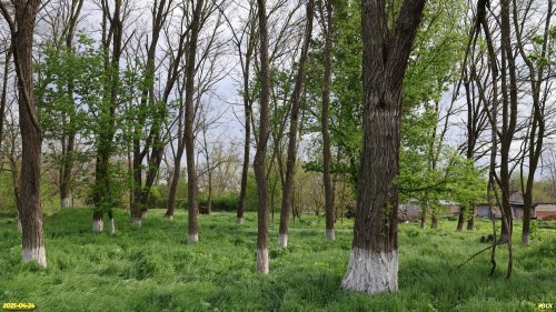 Перспективная ООПТ Пролетарский парк