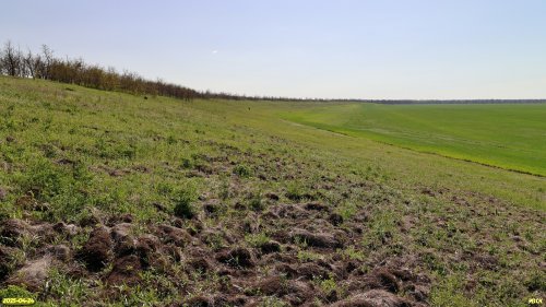 Перспективная ООПТ Воронцовская падь
